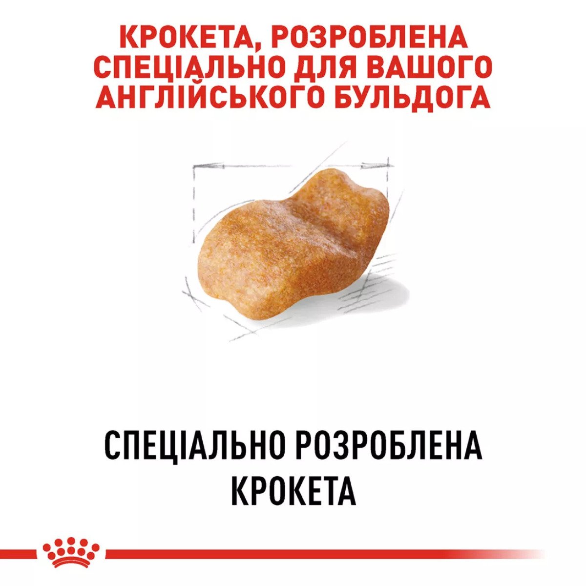 Сухий корм для собак середніх порід Royal Canin Bulldog Adult, 3 кг
