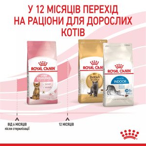 Сухий корм для кошенят Royal Canin Kitten Sterised, 400 г
