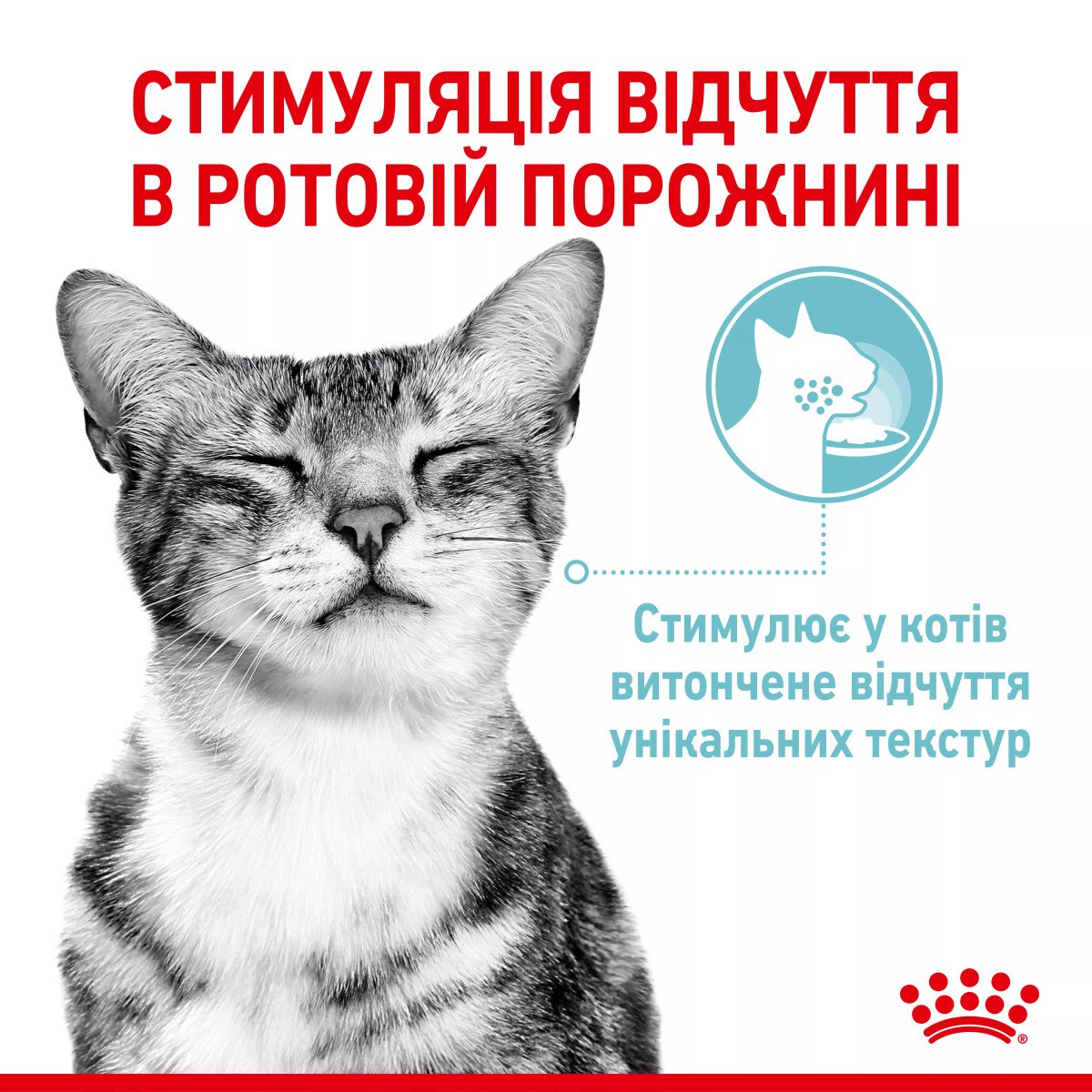 Вологий корм для котів Royal Canin Sensory Feel Morsels In Jelly, 85 г