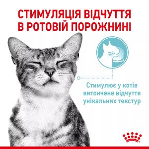 Вологий корм для котів Royal Canin Sensory Feel Morsels In Jelly, 85 г