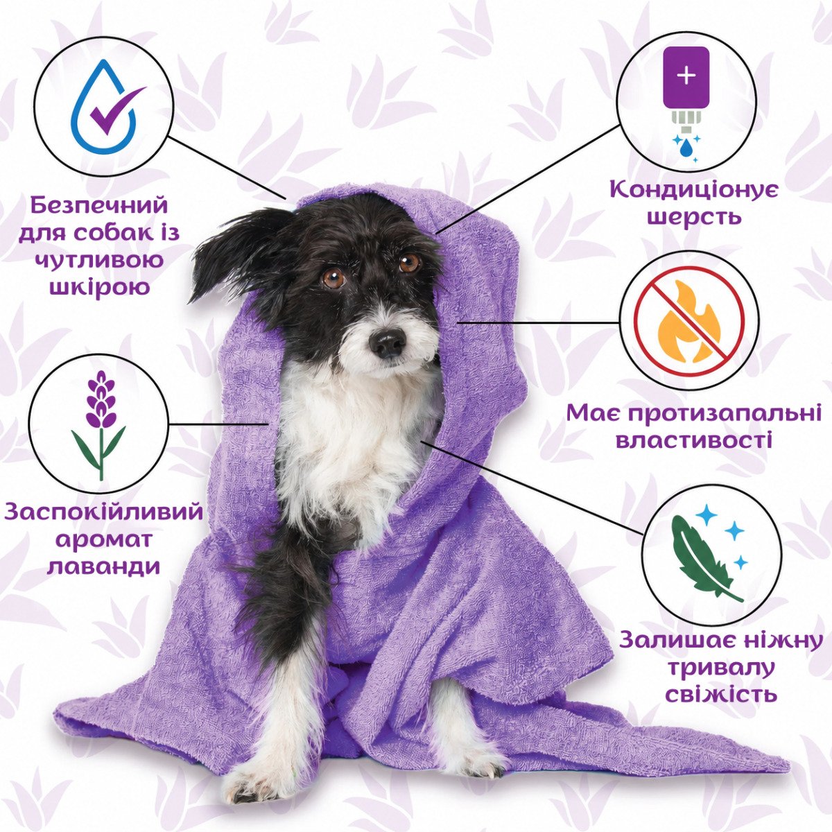 ESPREE Calming Lavender&Chamomile Dog Shampoo&Conditioner 2in1 591мл