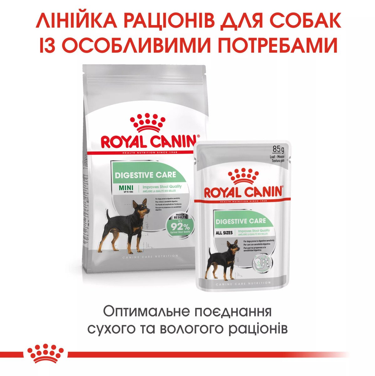 Сухий корм для собак малих порід Royal Canin Mini Digestive Care, 3 кг