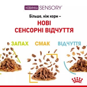 Вологий корм для котів Royal Canin Sensory Multipack 3x4x85g, 85 г