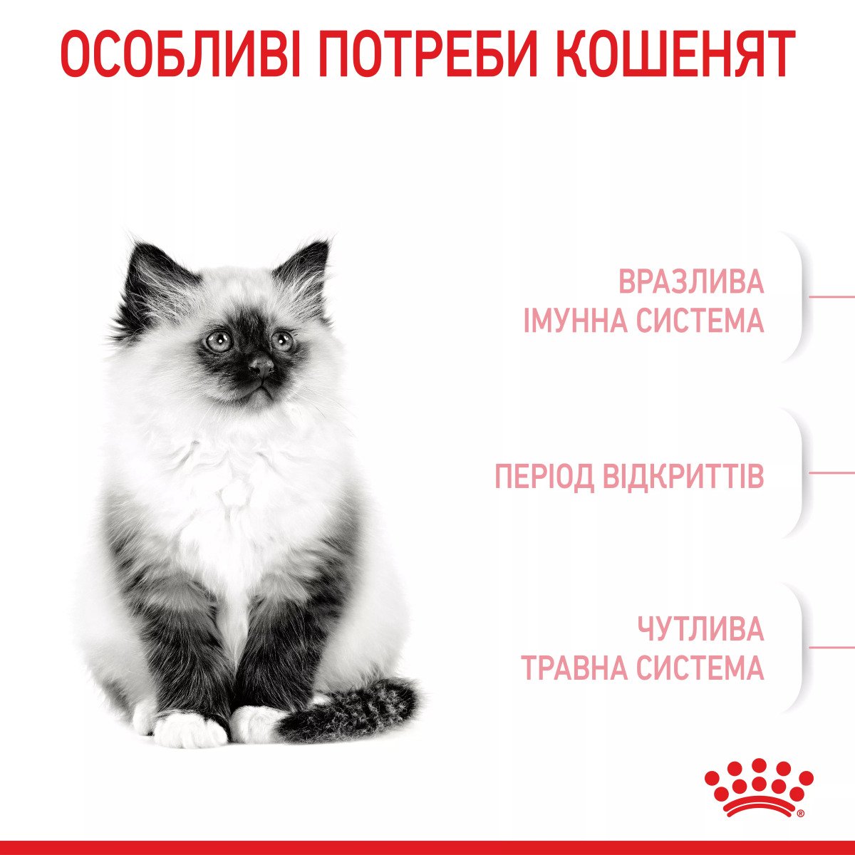 Сухий корм для кошенят Royal Canin Kitten, 2 кг