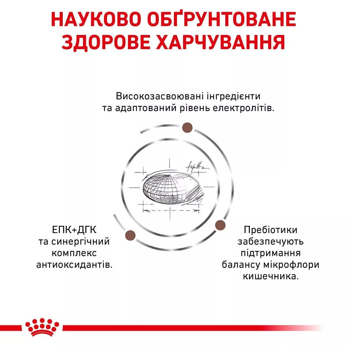 Сухий корм для собак Royal Canin Gastrointestinal Dog, 2 кг