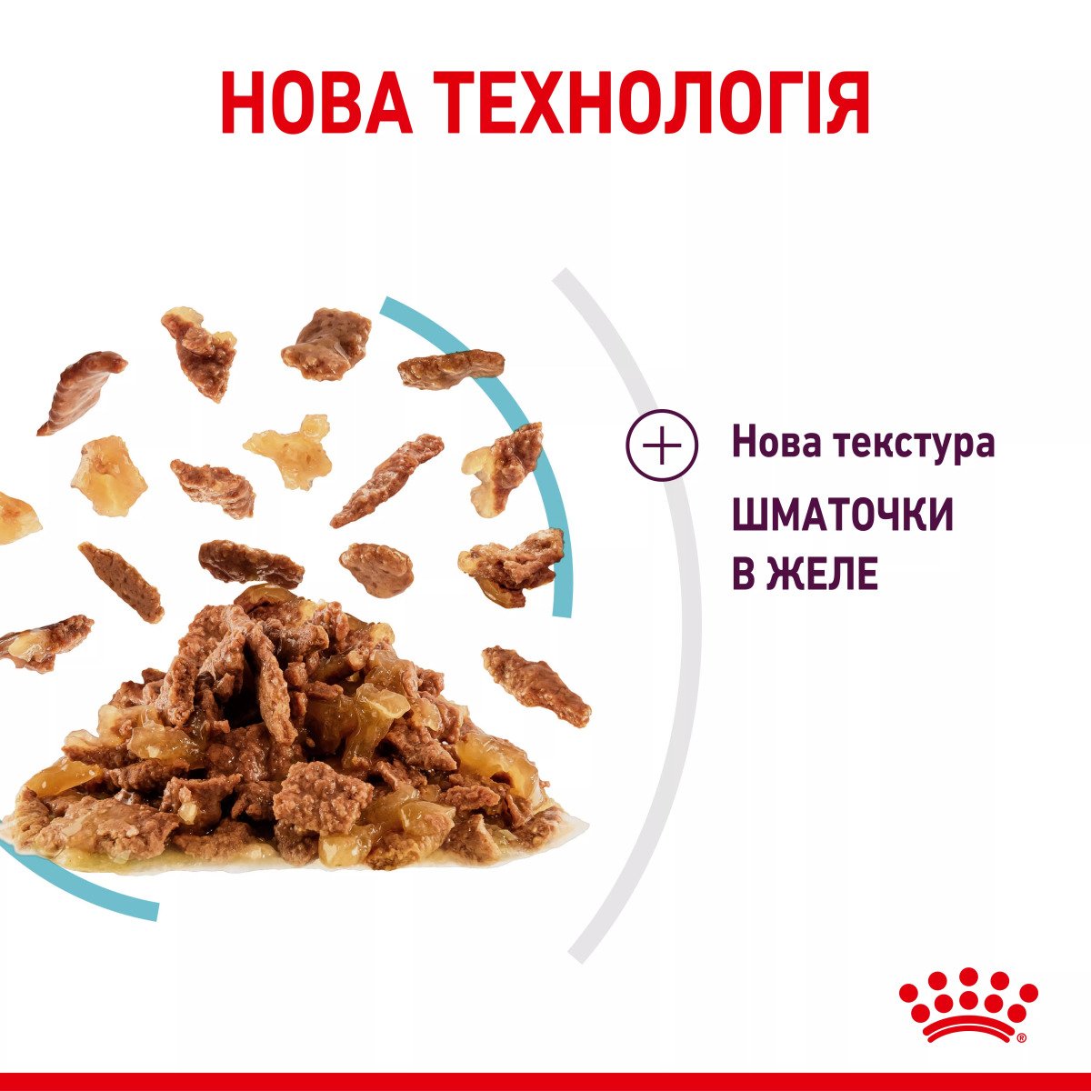 Вологий корм для котів Royal Canin Sensory Feel Morsels In Jelly, 85 г