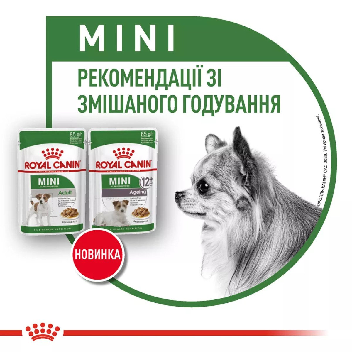 Вологий корм для собак малих порід Royal Canin Mini Adult, 85 г
