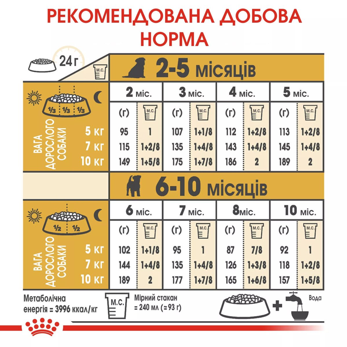 Сухий корм для цуценят мініатюрних порід Royal Canin Jack Russell Terrier Puppy, 1.5 кг