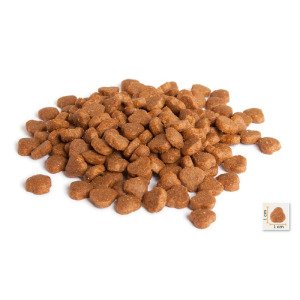 BonaCibo Adult Cat Lamb&Rice 2 kg