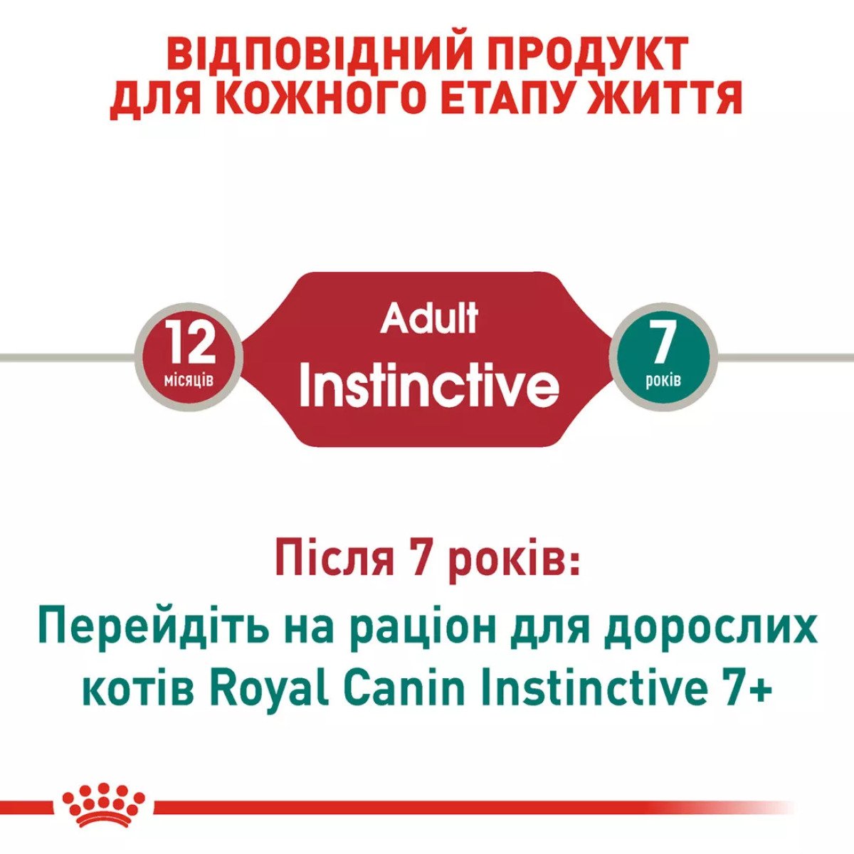 Вологий корм для котів Royal Canin Instinctive In Jelly, 85 г