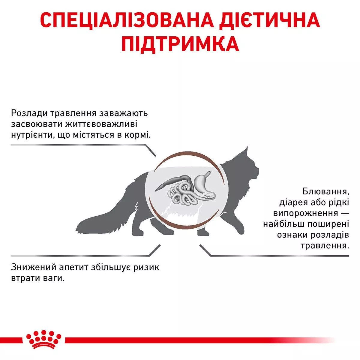 Сухий корм для котів Royal Canin GastroIntestinal Cat, 4 кг