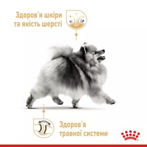 Сухий корм для собак малих порід Royal Canin Pomeranian Adult, 500 г