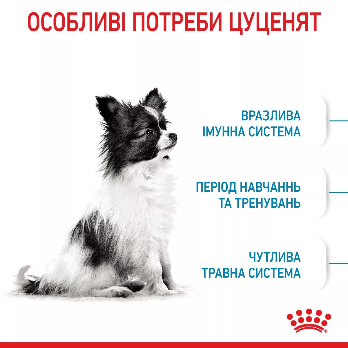 Сухий корм для цуценят мініатюрних порід Royal Canin Xsmall Puppy, 3 кг