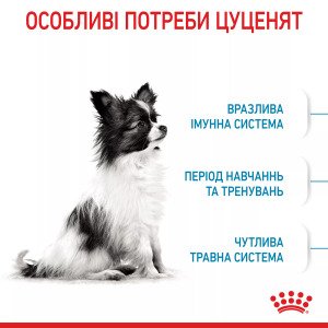 Сухий корм для цуценят мініатюрних порід Royal Canin Xsmall Puppy, 500 г