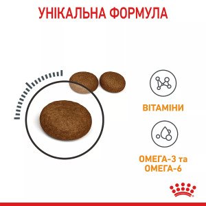 Сухий корм для котів Royal Canin Hair And Skin Care, 400 г