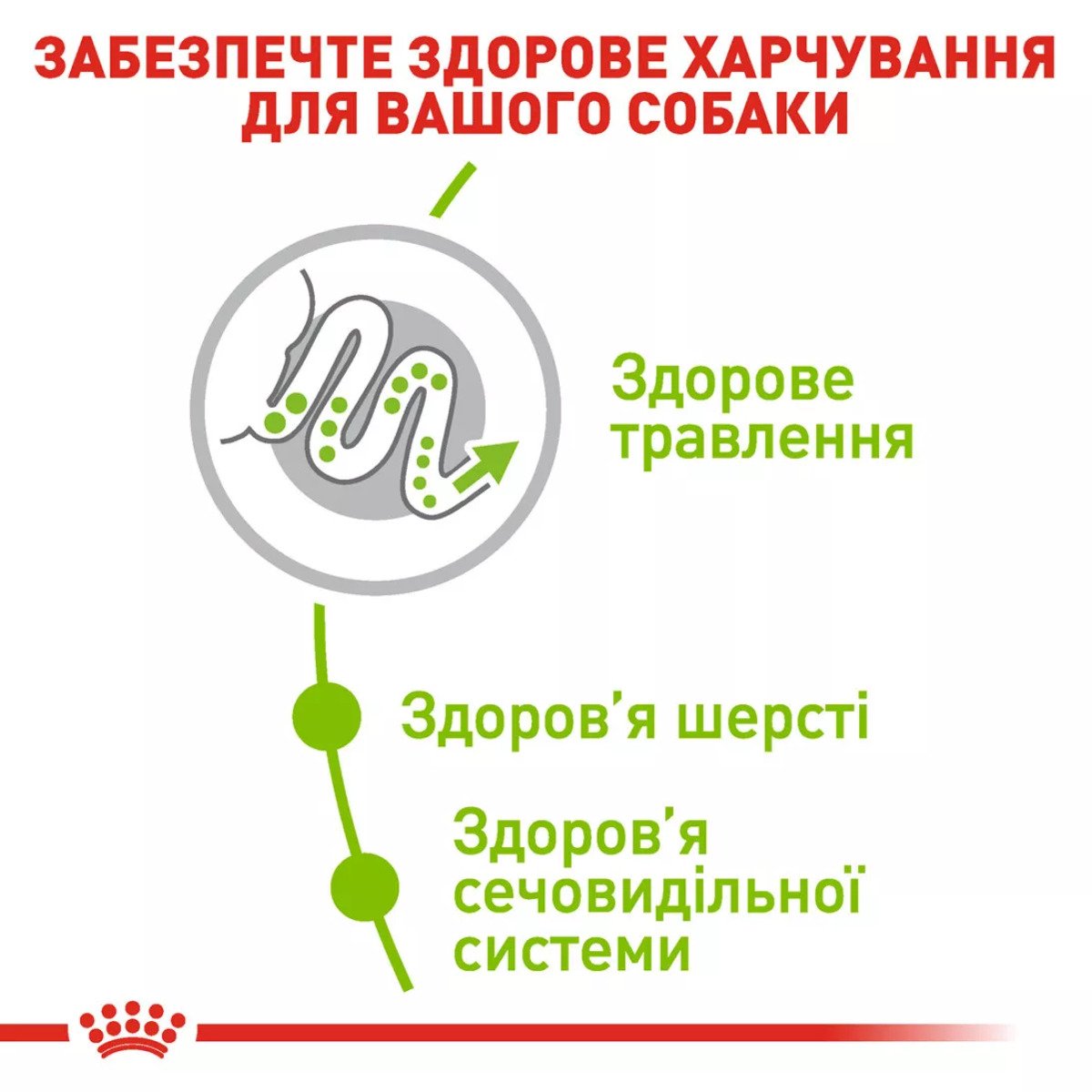 Сухий корм для собак малих порід Royal Canin Xsmall Adult, 3 кг