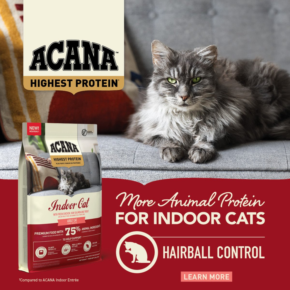 ACANA HIGHEST PROTEIN INDOOR CAT 1.8KG (x8)