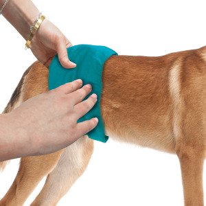 Багаторазовий гігієнічний пояс для собак (кобелів) Simple Solution Washable Male Wrap Large (розмір L), 1 шт.