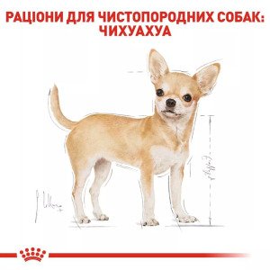 Сухий корм для собак чихуахуа Royal Canin Chihuahua Adult, 3 кг