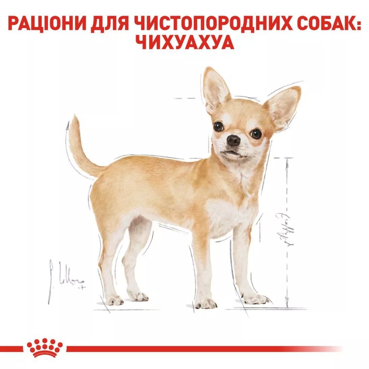 Сухий корм для собак чихуахуа Royal Canin Chihuahua Adult, 500 г