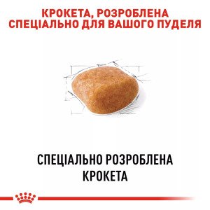 Сухий корм для собак Royal Canin Poodle Adult, 500 г