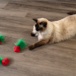 Іграшка д/котів Кетстейджес Полунички з пір'ям з котячою м'ятою арт pt70394