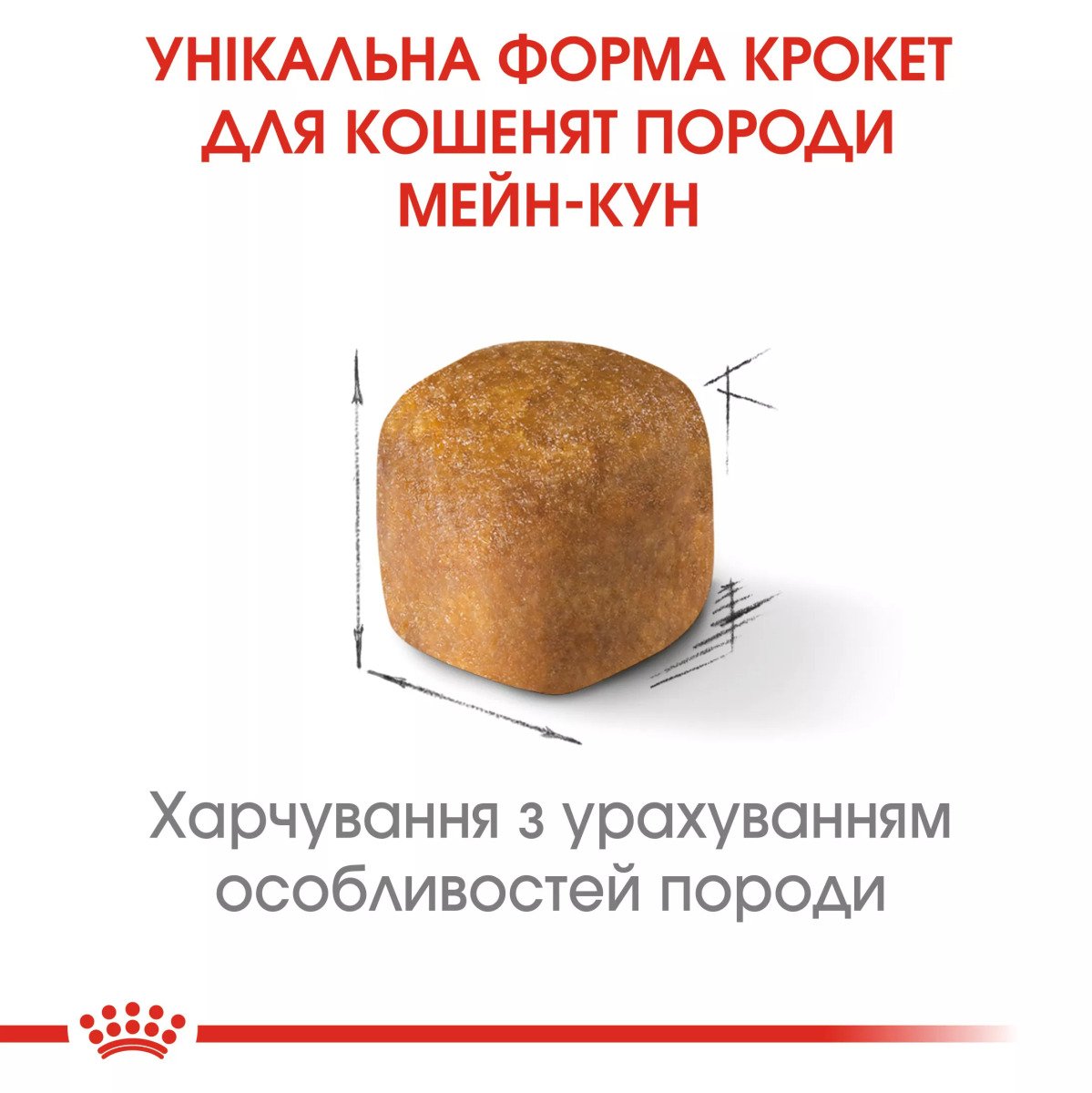 Сухий корм для кошенят Royal Canin Mainecoon Kitten, 2 кг