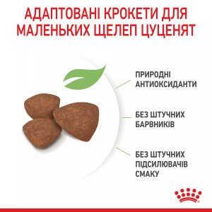 Сухий корм для цуценят мініатюрних порід Royal Canin Mini Puppy, 8 кг