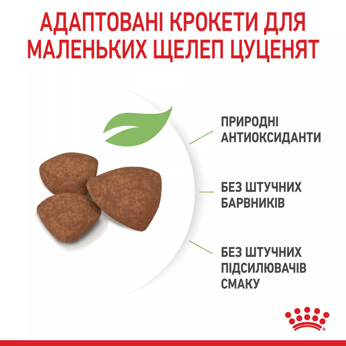 Сухий корм для цуценят мініатюрних порід Royal Canin Mini Puppy, 800 г
