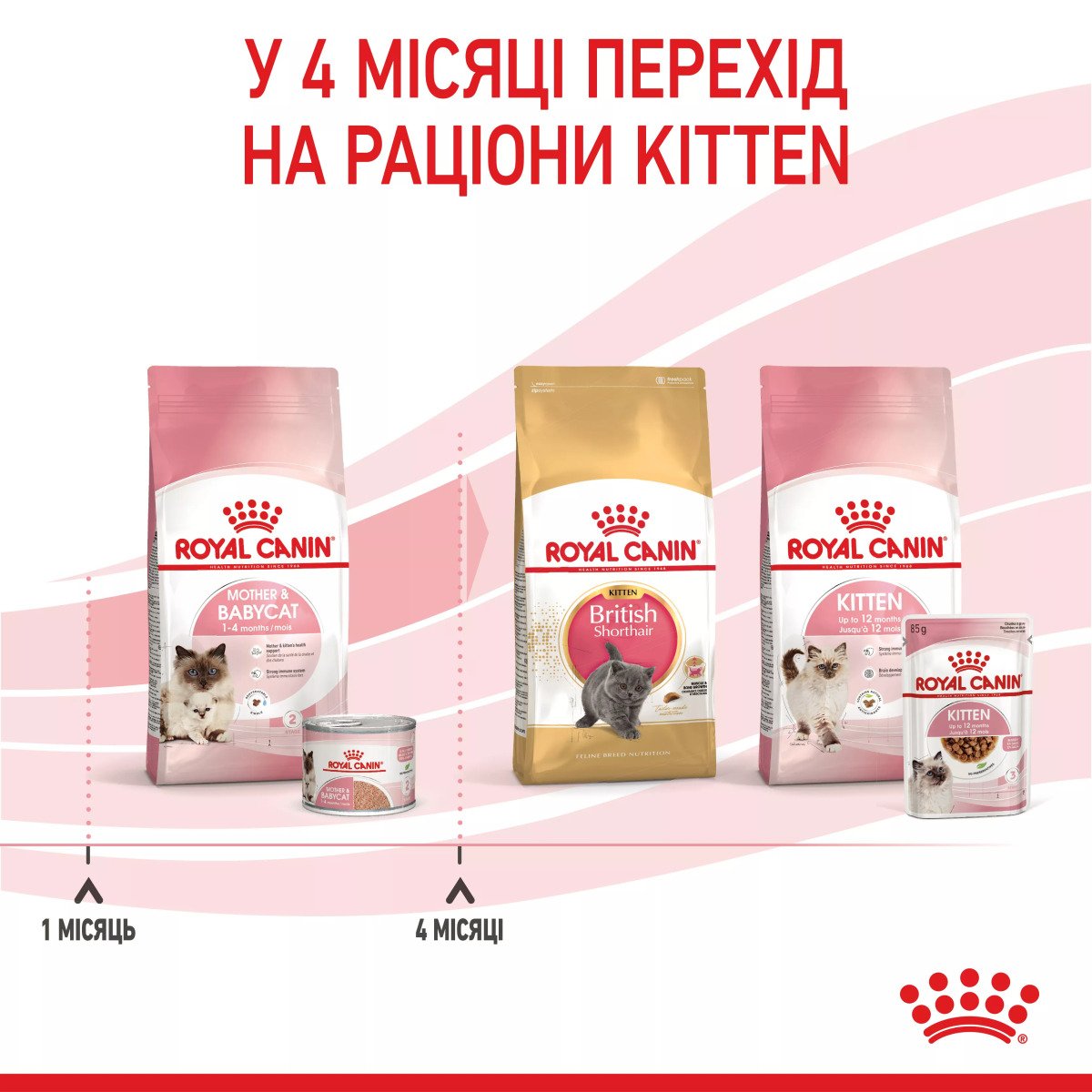 Вологий корм для кошенят Royal Canin Mother & Babycat Ultra Soft Mousse, 195 г