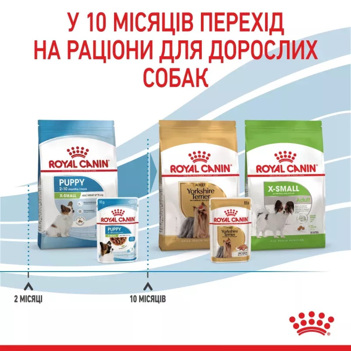 Вологий корм для цуценят мініатюрних порід Royal Canin Xsmall Puppy, 85 г