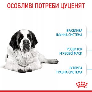 Сухий корм для цуценят великих порід Royal Canin Giant Junior, 15 кг