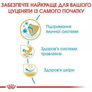 Сухий корм для цуценят мініатюрних порід Royal Canin French Bulldog Puppy, 1 кг