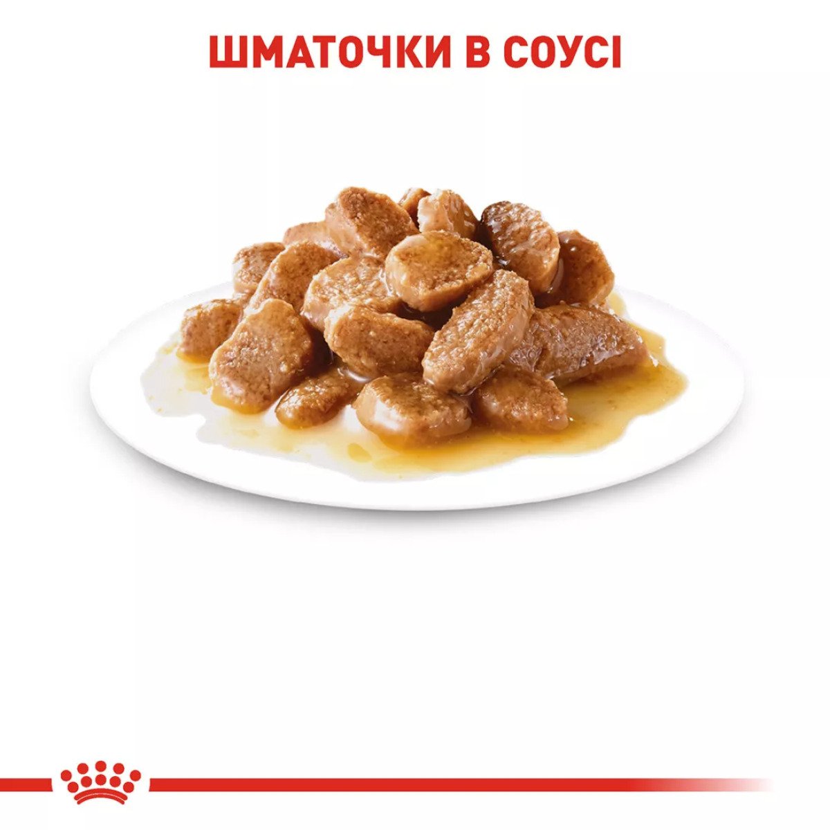 Вологий корм для собак малих порід Royal Canin Mini Adult, 85 г