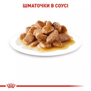 Вологий корм для собак малих порід Royal Canin Mini Adult, 85 г