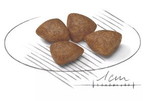 Сухий корм для цуценят мініатюрних порід Royal Canin Mini Starter, 1 кг
