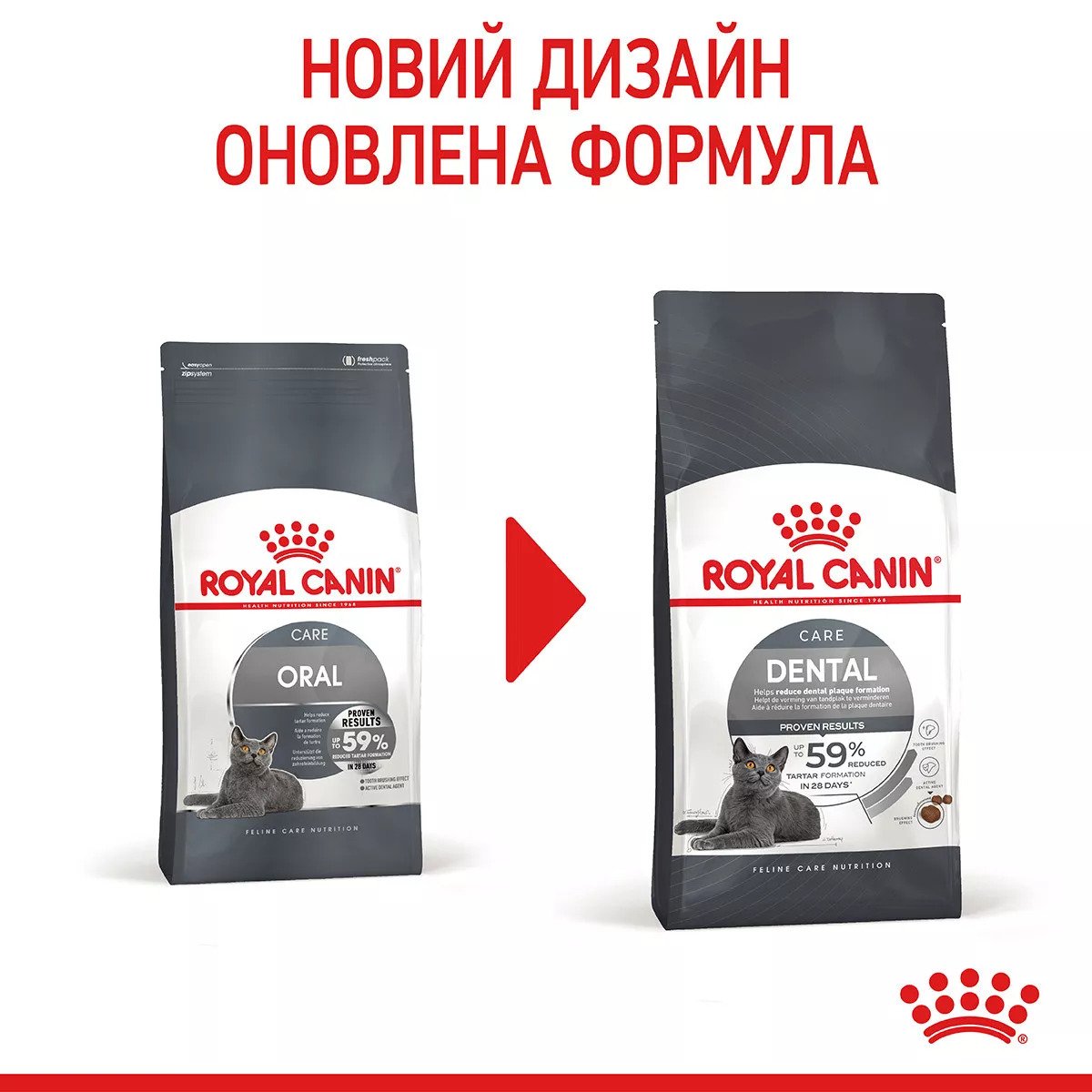 Сухий корм для котів Royal Canin Dental Care, 1.5 кг