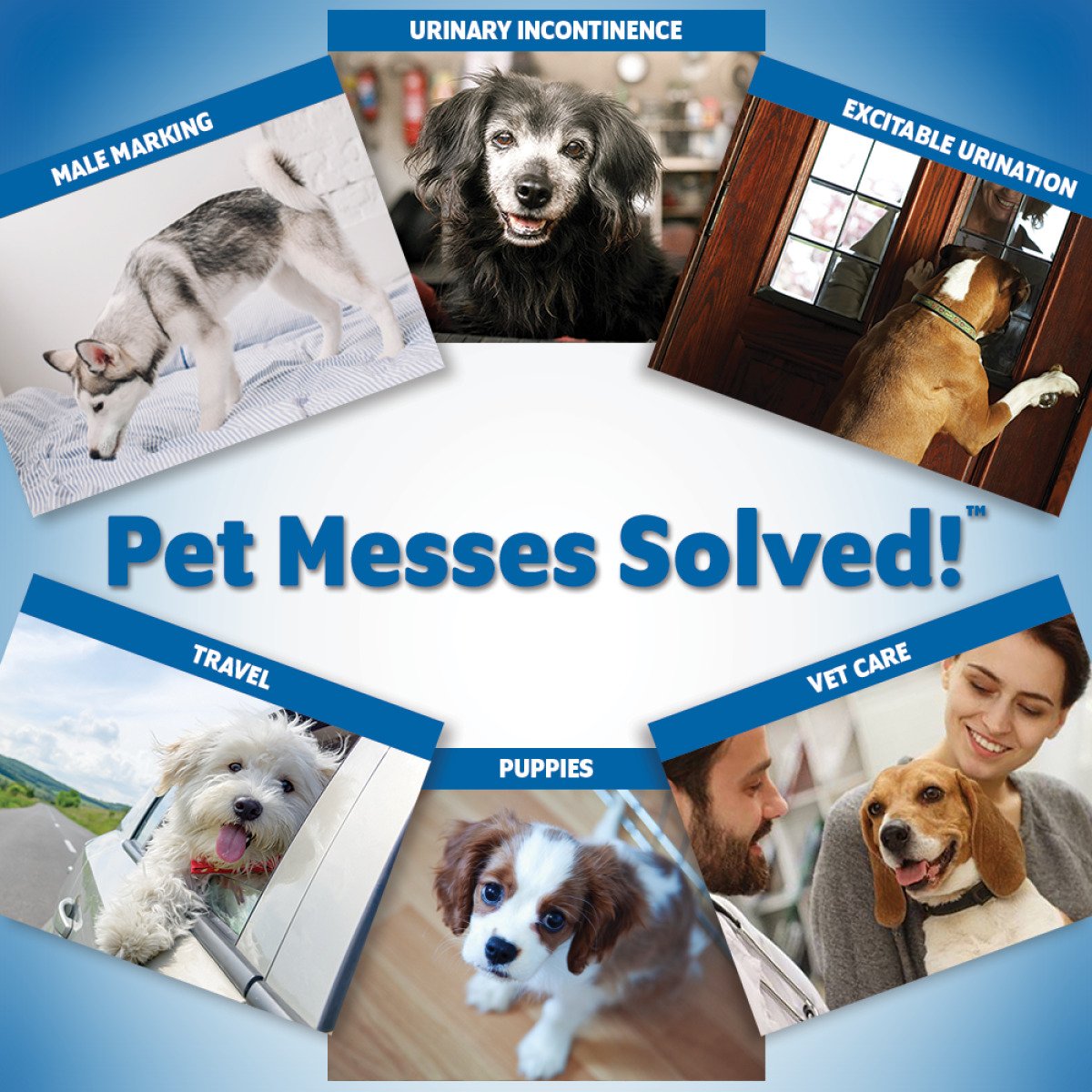 Одноразові гігієнічні підгузки-пояси для собак (кобелів) OUT! PetCare Comfort-Dri Male Wraps M/L, 10 шт.