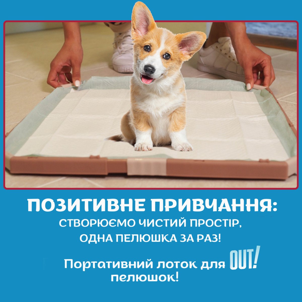 Гігієнічний піддон-фіксатор для пелюшок для собак OUT! Training Pad Holder (53 × 53 см)