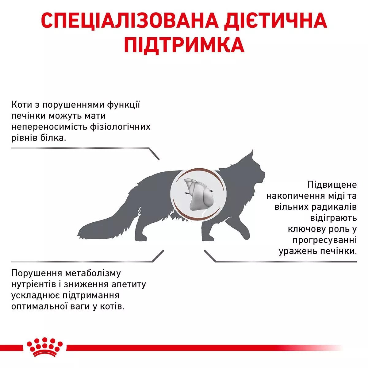 Сухий корм для котів Royal Canin Hepatic Cat, 2 кг