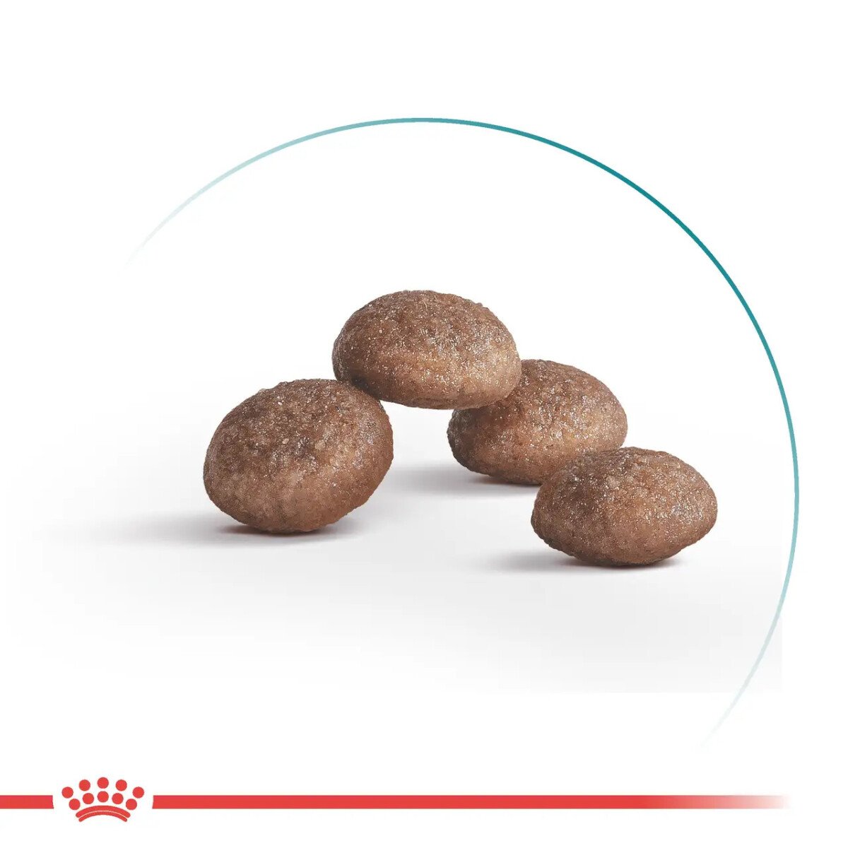 Сухий корм для котів Royal Canin Ageing 11+, 2 кг