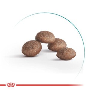 Сухий корм для котів Royal Canin Ageing 11+, 2 кг
