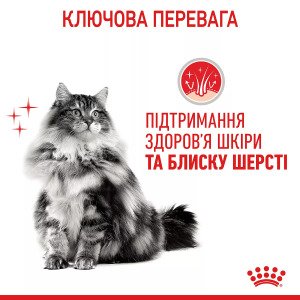 Сухий корм для котів Royal Canin Hair And Skin Care, 10 кг