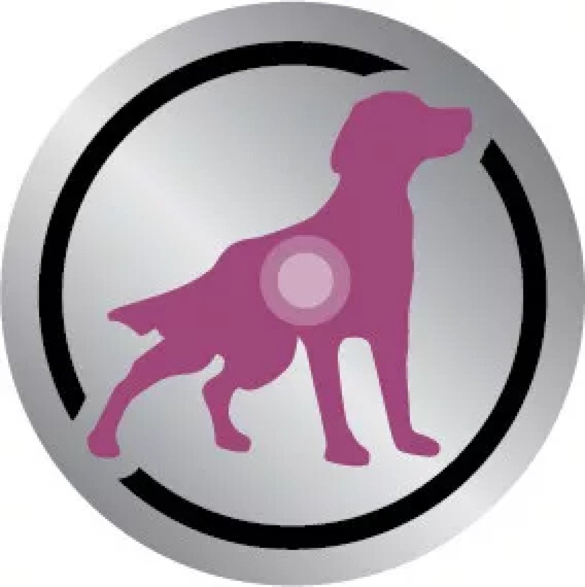 Сухий корм для собак Royal Canin Cardiac Canine, 2 кг