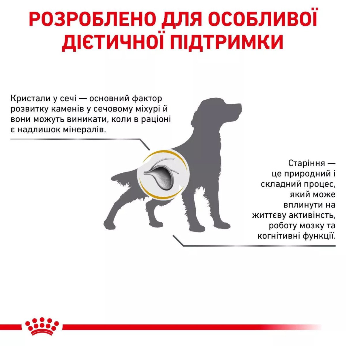 Вологий корм для собак Royal Canin Urinary S/O, 410 г