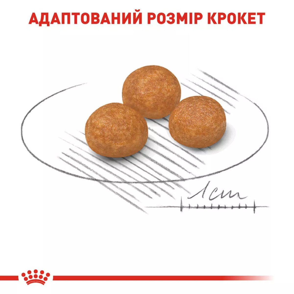 Сухий корм для собак малих порід Royal Canin Xsmall Adult, 1.5 кг