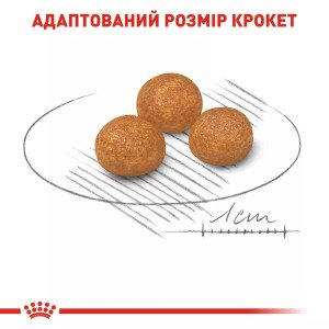 Сухий корм для собак малих порід Royal Canin Xsmall Adult, 500 г