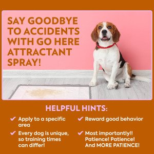 Спрей-атрактант для привчання собак до туалету OUT! PetCare Go Here Training Spray, 945 мл