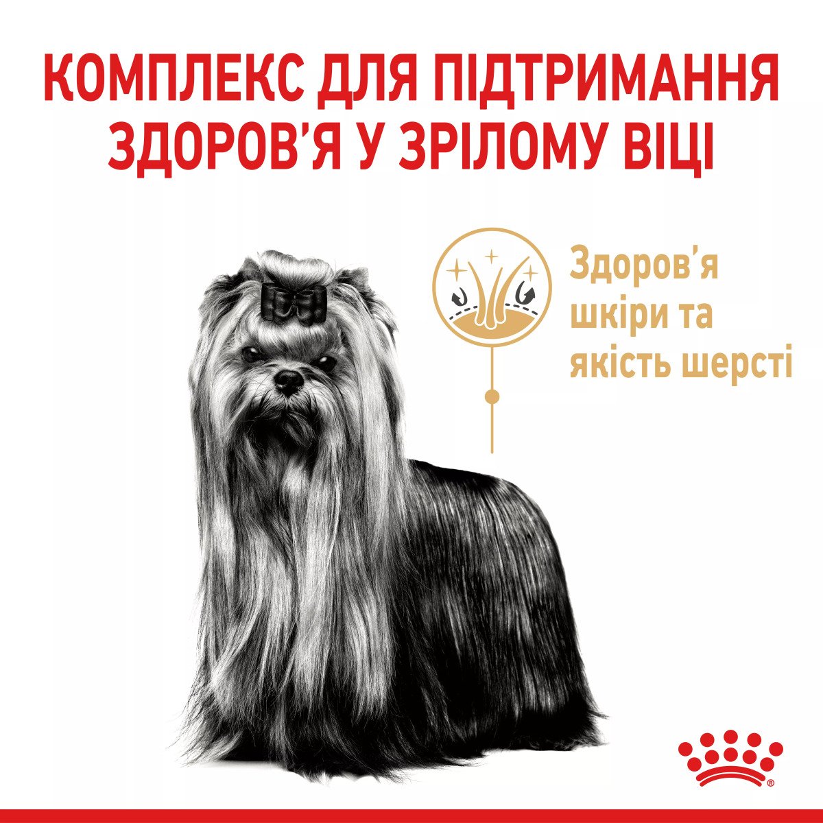 Сухий корм для йоркширських тер'єрів Royal Canin Yorkshire Terrier 8+, 1.5 кг