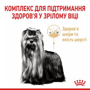 Сухий корм для йоркширських тер'єрів Royal Canin Yorkshire Terrier 8+, 1.5 кг